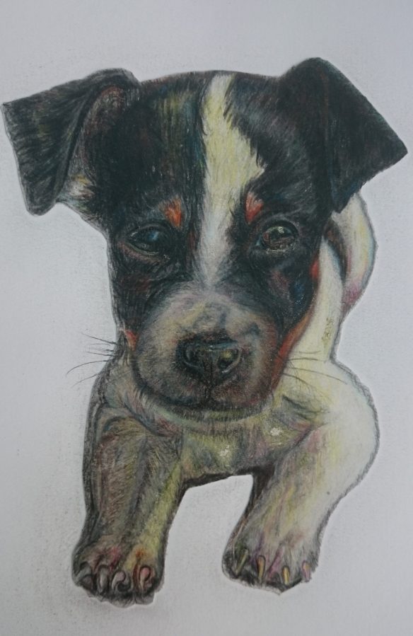 24. Lola – Colour Crayons, A4 Paper. SOLD